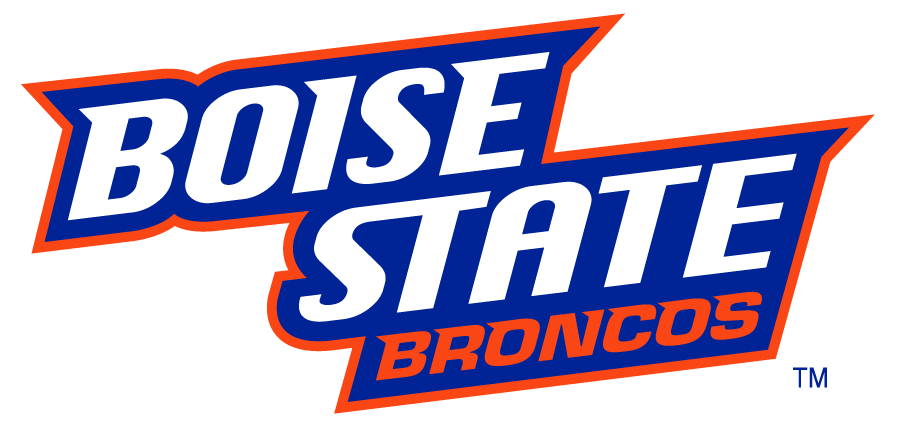 Boise State Broncos 2002-2012 Wordmark Logo v7 iron on transfers for T-shirts